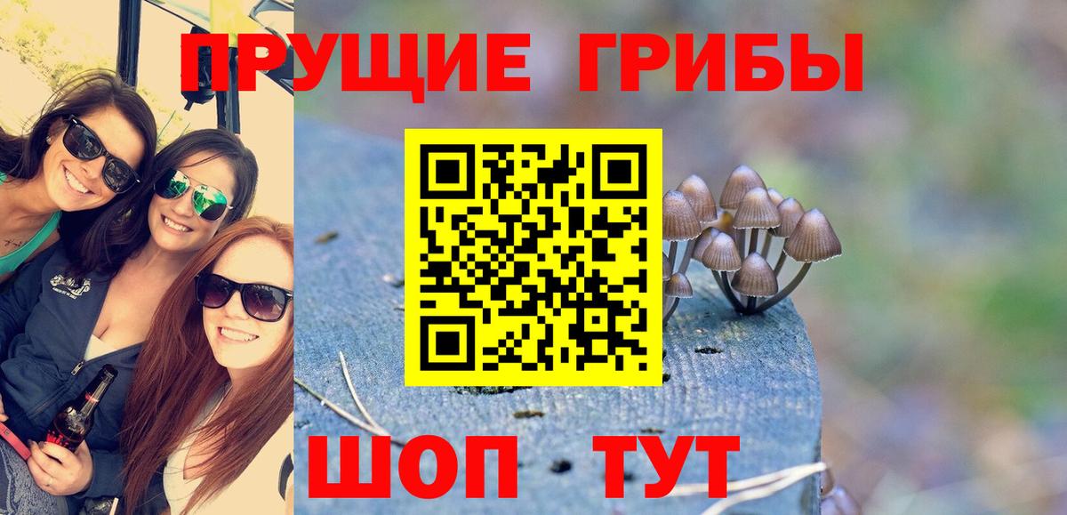 Псилоцибиновые грибы Psilocybine cubensis Нягань